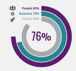 Example image from client brief, radial chart